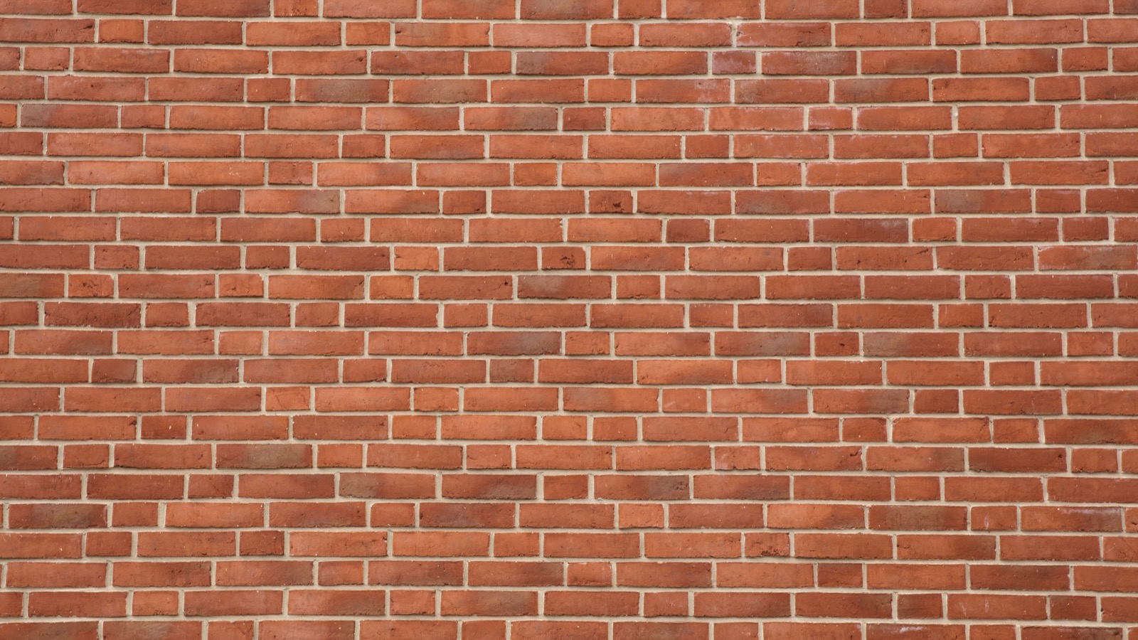 tuckpointing near me on a Philadelphia brick rowhome